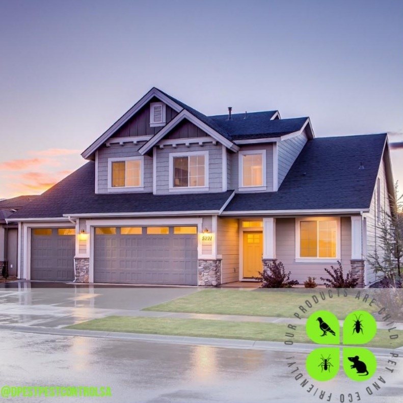 195147829_239254151294605_2497770618835370862_n