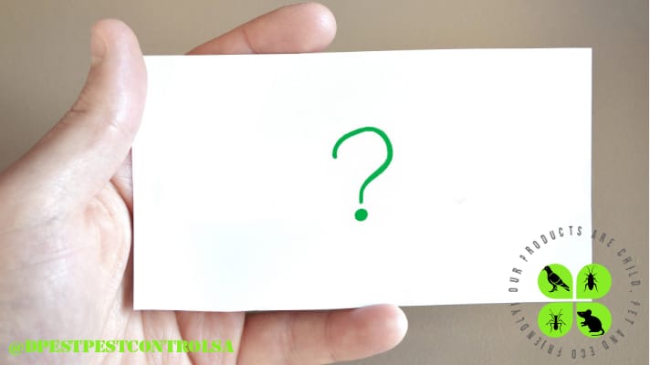 60e7ad61-980f-4bd1-88bf-1e6bb59f6a35